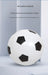 Portable Foldable Football Goal for Kids - Practice Net Frame