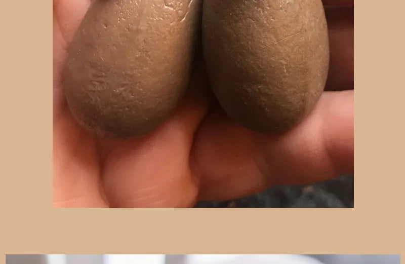 3PCS Hatching Dinosaur Eggs – T‑Rex, Triceratops & Raptor PVC Model Set